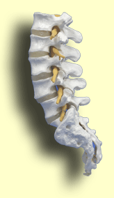 ���ő���