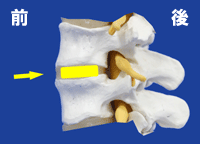 ���őO���Œ�