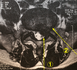 ���j�E�o�p