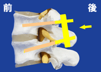 ���Ō���Œ�