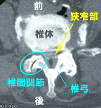 �����Ғ��ǋ����